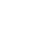 VVS Fagmann